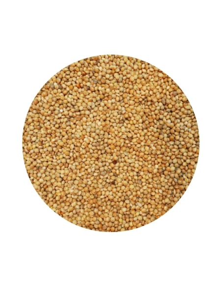 Semilla de mijo amarilla DISFA 1 kg
